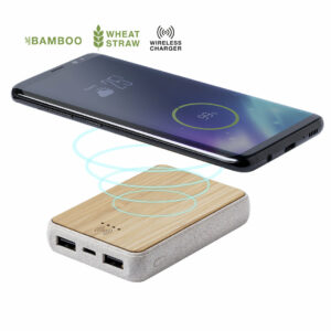 Power Bank (ref : 6736)