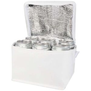 Sac isotherme Spectrum non tissé recyclé GRS de 4L pour 6 canettes (ref : 130082)