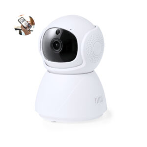 Vidéosurveillance Intelligente (ref : 21013)