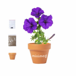 Pot de Fleurs (ref : 6791)