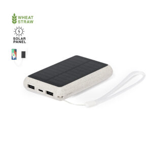 Power Bank (ref : 20271)