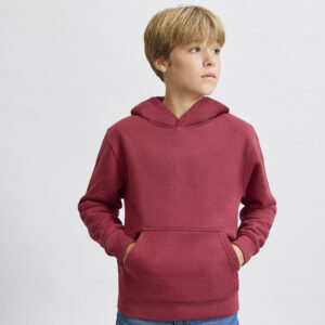 Sweat-Shirt Enfant Draco (ref : 21954)