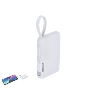 Power Bank Brandin (ref : 21977)