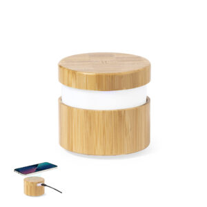 Lampe Multifonction (ref : 20253)