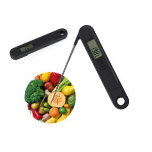 Thermomètre (ref : 21237)