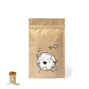 Pot de Fleurs (ref : 2691)